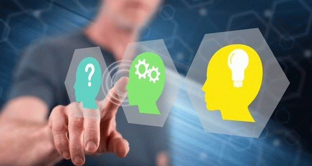 18 نکته کلیدی برای شناخت بهتر سگ اشپیتز: راهنمای جامع